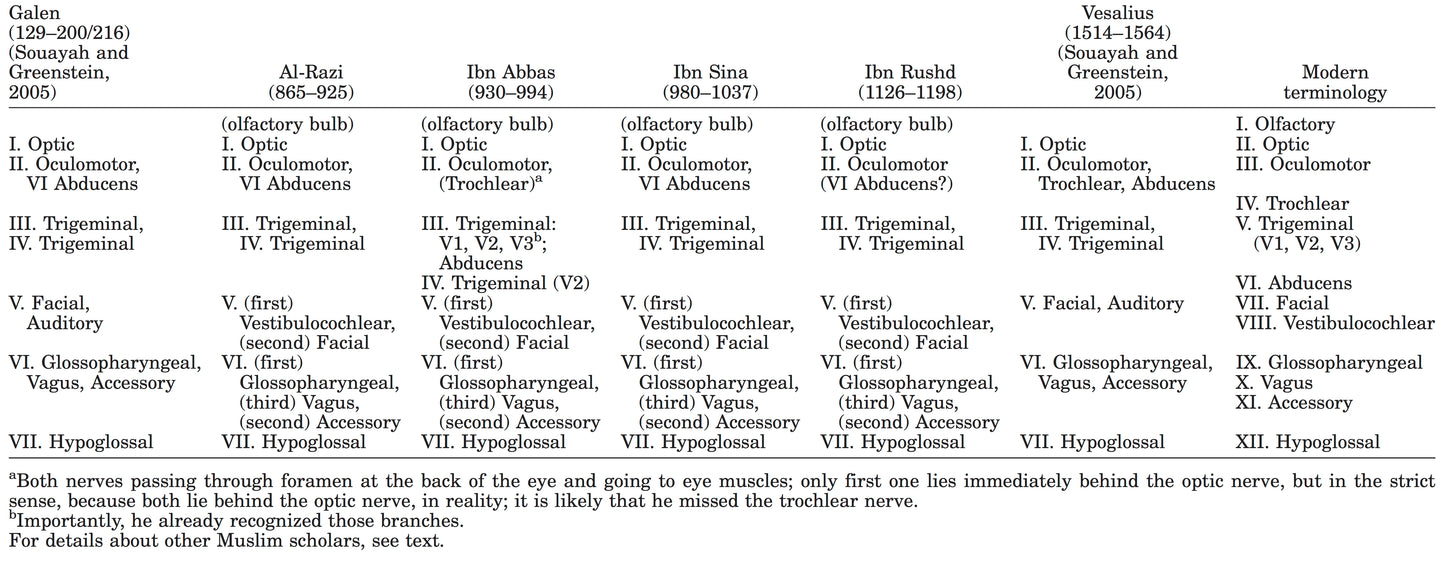 A Thousand Years Before Darwin: Untold Stories of Muslim Scholars’ Contributions to Anatomy and Evolutionary Biology