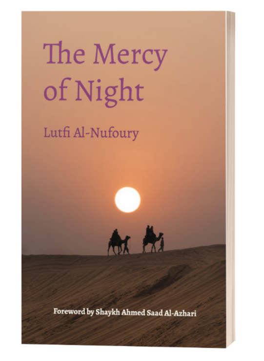 The Mercy of Night