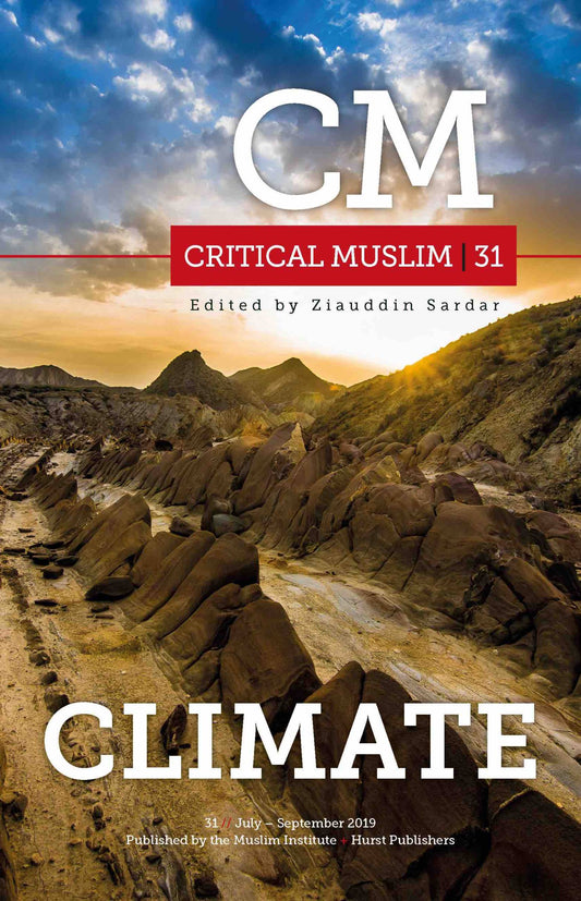 CM31: Climate