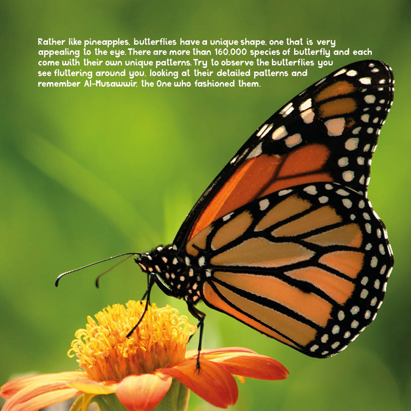 Nature and the Divine Names