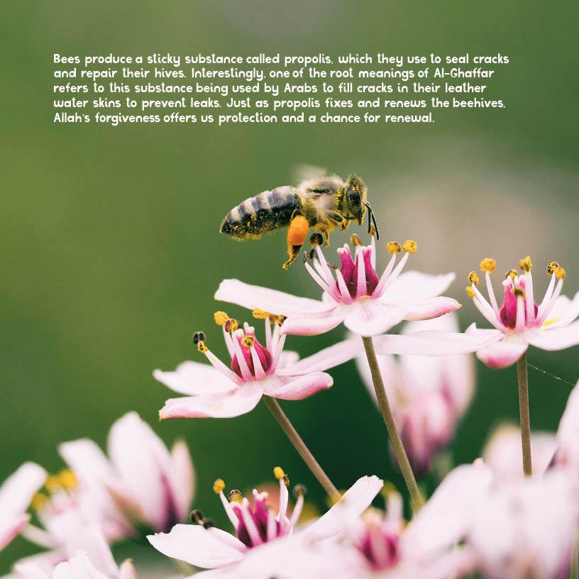 Nature and the Divine Names
