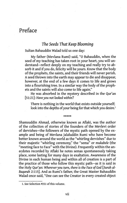 Rumi and His Friends: Stories of the Lovers of God (Rumi and Shams in daily life as seen by their companions)